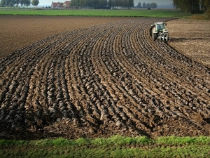 Nederland-Brabant (16)