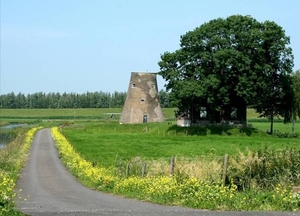 Nederland-Brabant (20)
