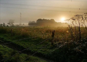 Nederland-Brabant (1)