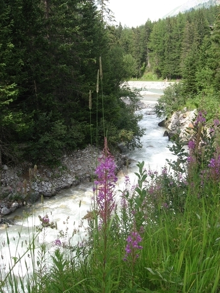 Bergbeek aan de camping