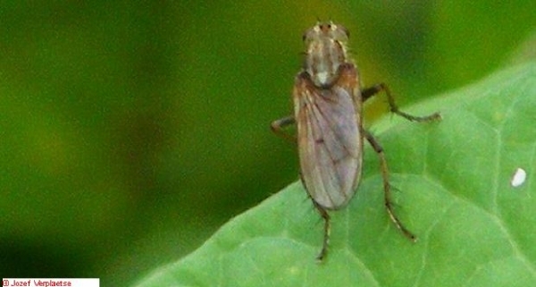DSCF0584