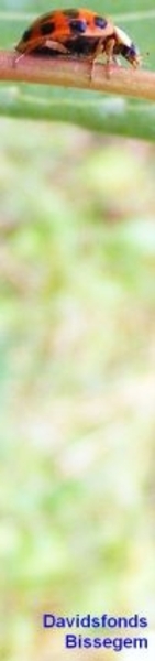 Neerbeekvallei Bissegem     Jozef Verplaetse