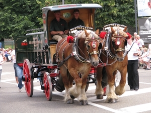 Kroningsfeesten 2009 010