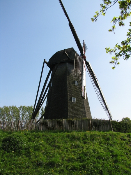 Bokrijk 21-04-2009 128