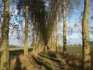 09.10.18.MIDDELBURG. LANGS EEN DIJK