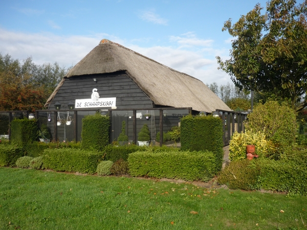 09.10.18.MIDDELBURG. DE SCHAAPSKOOI