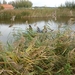 09.10.18.MIDDELBURG. BOOTJE VAREN