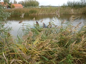 09.10.18.MIDDELBURG. BOOTJE VAREN