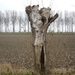 09.10.31.OOSTKERKE.NATUURMONUMENT