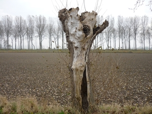 09.10.31.OOSTKERKE.NATUURMONUMENT