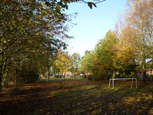 BOEKHOUTE SPEELPLEIN