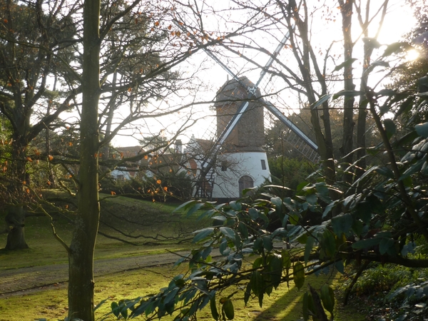 KNOKKE.OUDE MOLEN