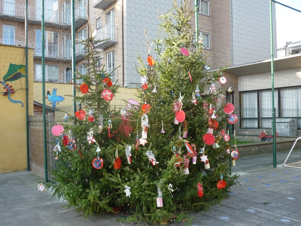 KNOKKE.MOOIE KERSTBOOM OP DE KOER