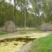 09.09.05.AXEL.HOGE BOMEN VANGEN VEEL WIND