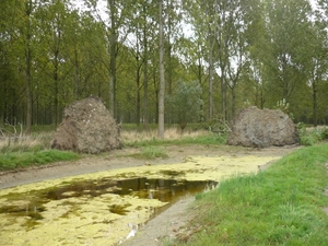 09.09.05.AXEL.HOGE BOMEN VANGEN VEEL WIND