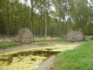 09.09.05.AXEL.HOGE BOMEN VANGEN VEEL WIND