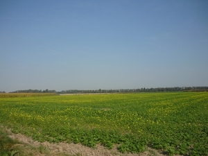 09.09.18.BOEKHOUTE. DE POLDERS