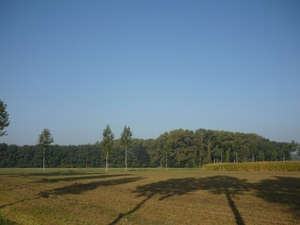 09.09.18.SLEIDINGE.BOSSEN VAN OOSTEEKLO