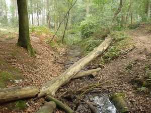 09.09.20.LEMBEKE.DROOG VAARDEKEN