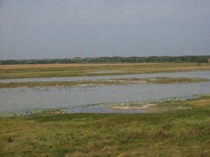 Vogelreservaat bij Nummer En