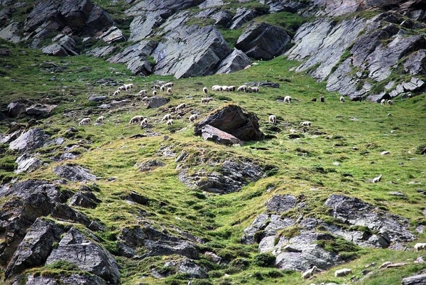 Saas-Fee 2009 1 050