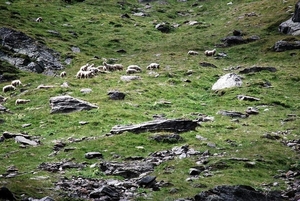 Saas-Fee 2009 1 051