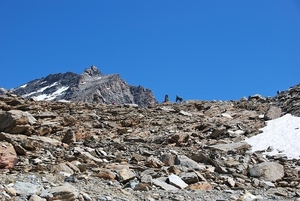 Saas-Fee 2009 1 155