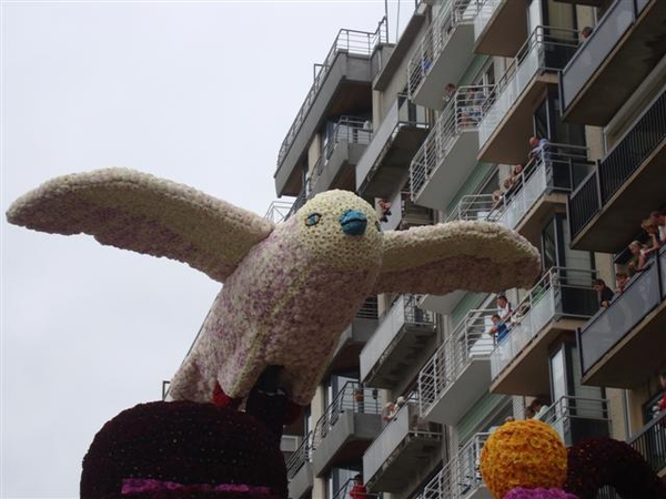 Een bloemetjes meeuw...