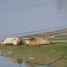 DSCF0553