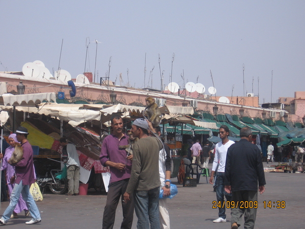 agadir 188