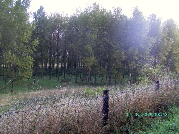 2009-09(sep) 5 Axel 007