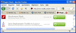 Flash & Java OK