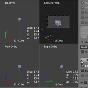 Quad View1