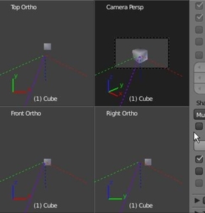 Quad View2