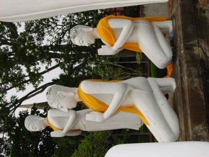 DSC03078