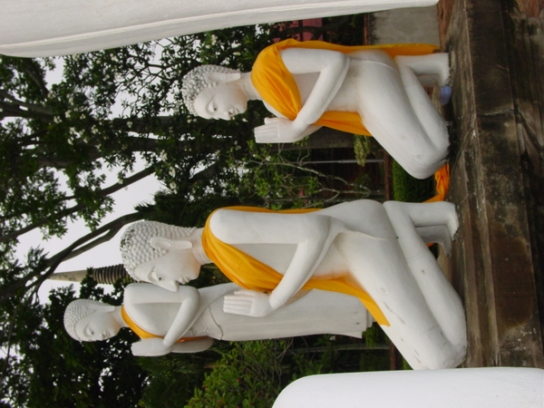 DSC03078