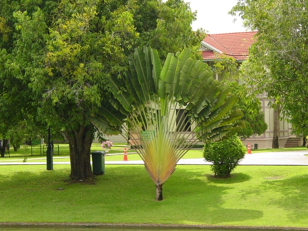 DSC03090