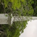 DSC03092