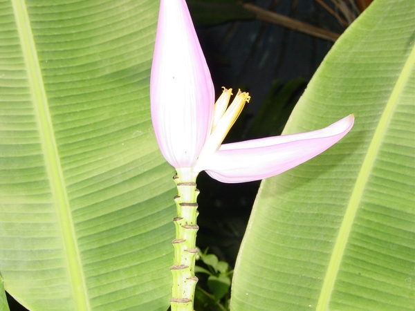 DSC03101