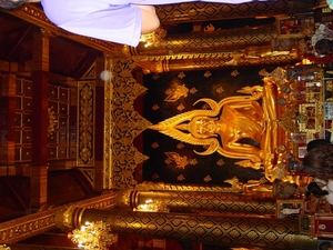 DSC03104