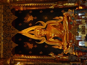 DSC03105
