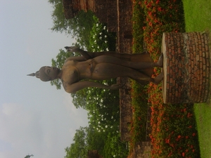 DSC03135