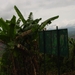 DSC03152