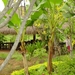DSC03153