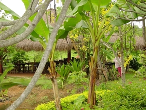 DSC03153