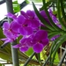DSC03204