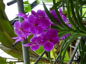 DSC03204