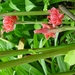 DSC03209