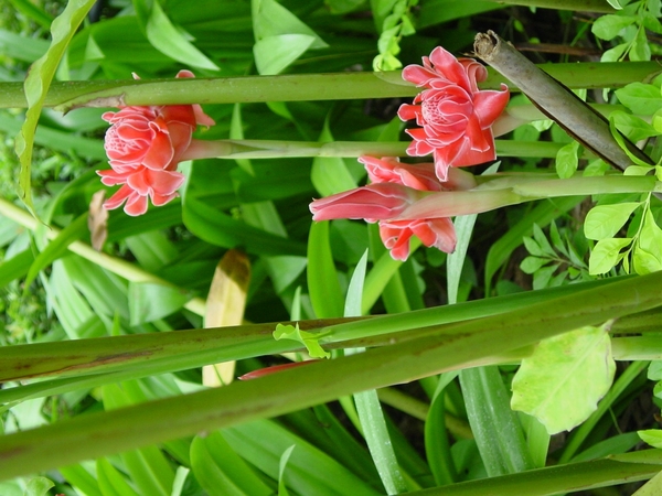 DSC03209