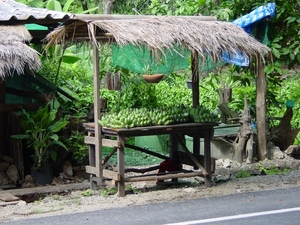 DSC03241